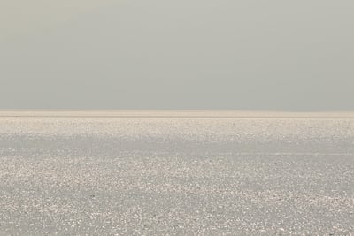 Warum hindert Sie Bescheidenheit am wahren Erfolg?